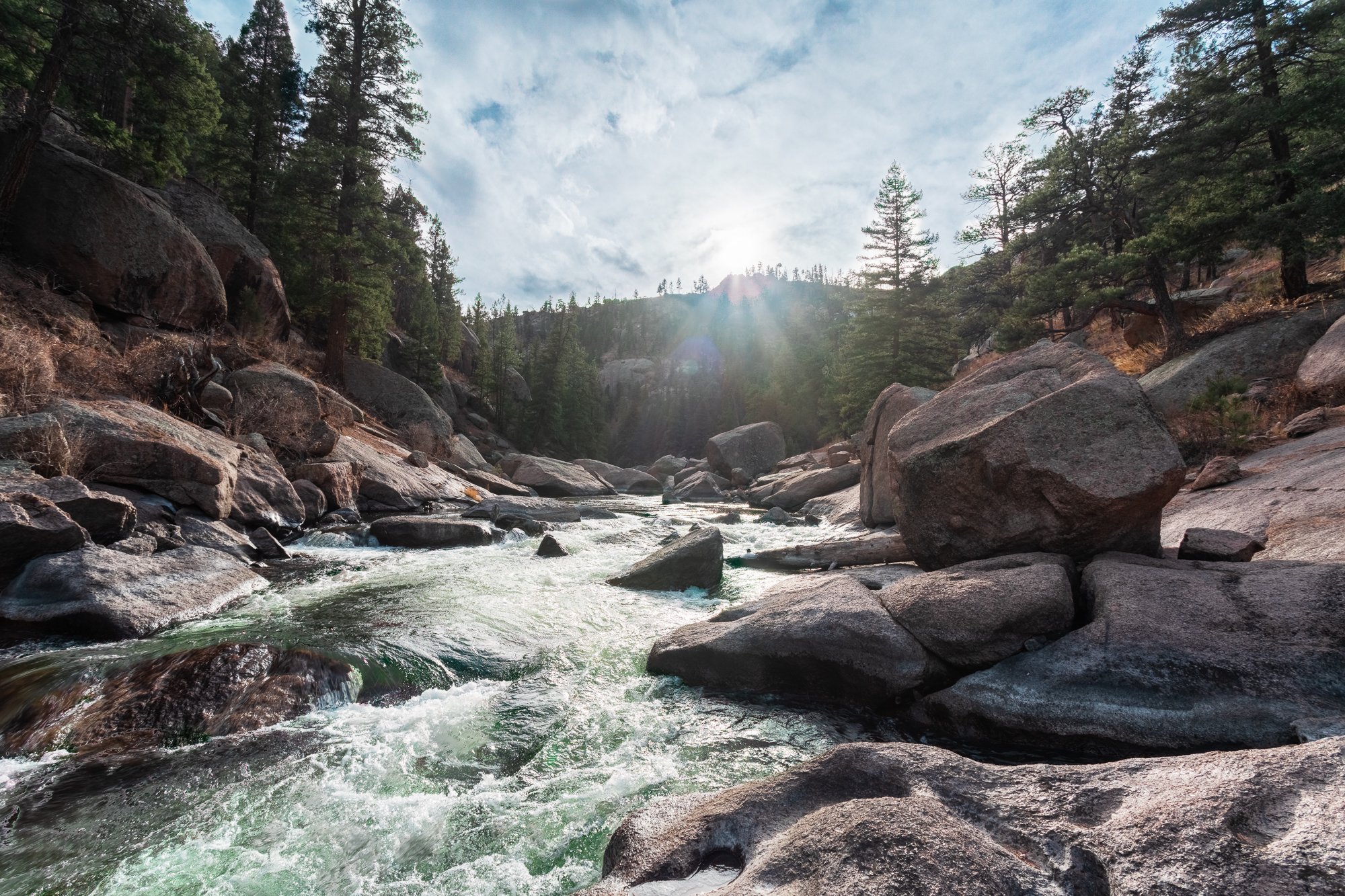 Colorado River Scene