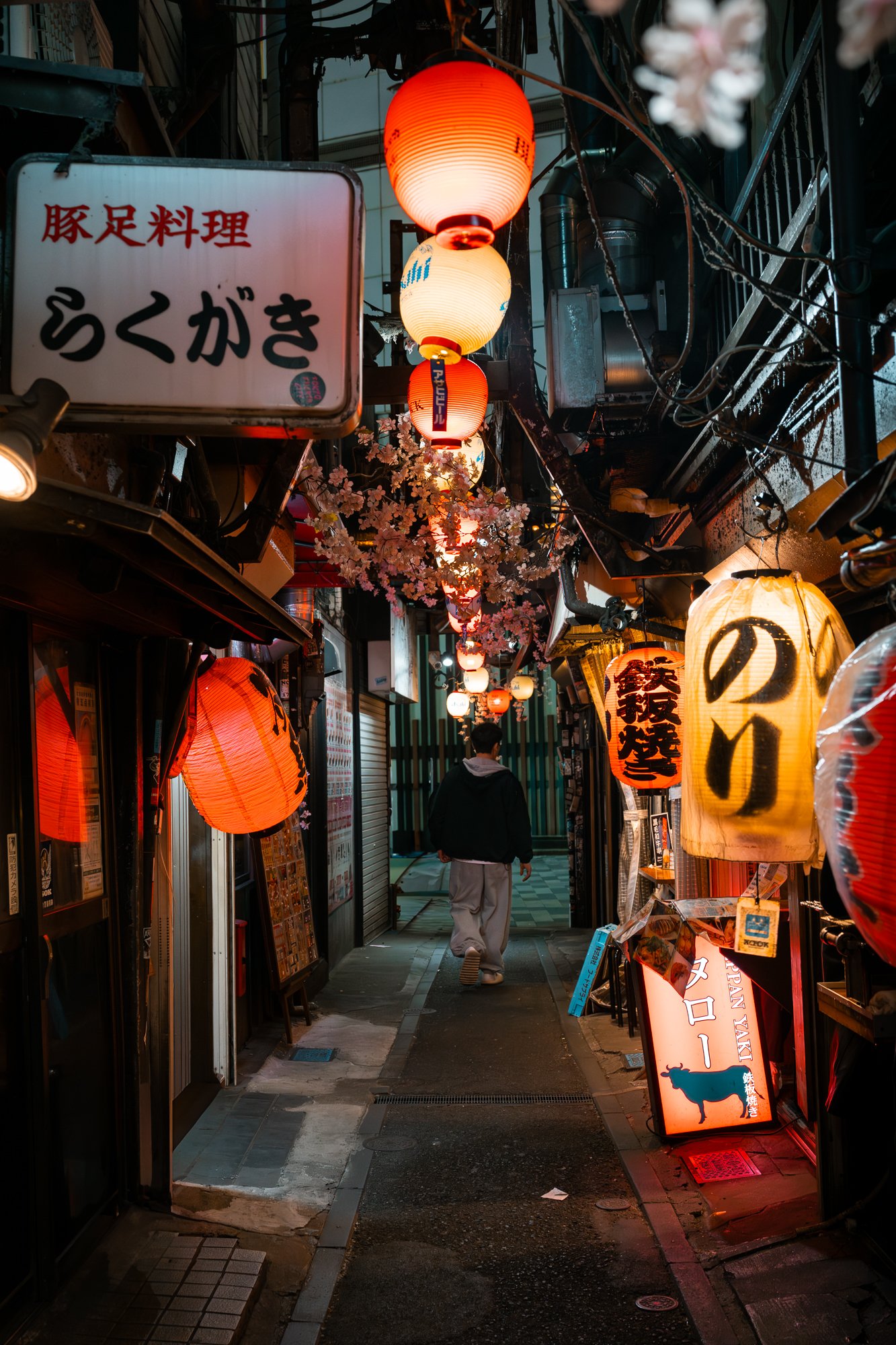 Kyoto Alley